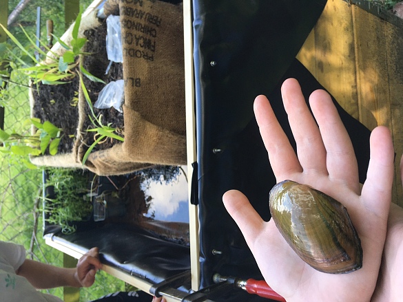 Mini-Ökosystem auf der Erlebnisfarm Ohlenhof