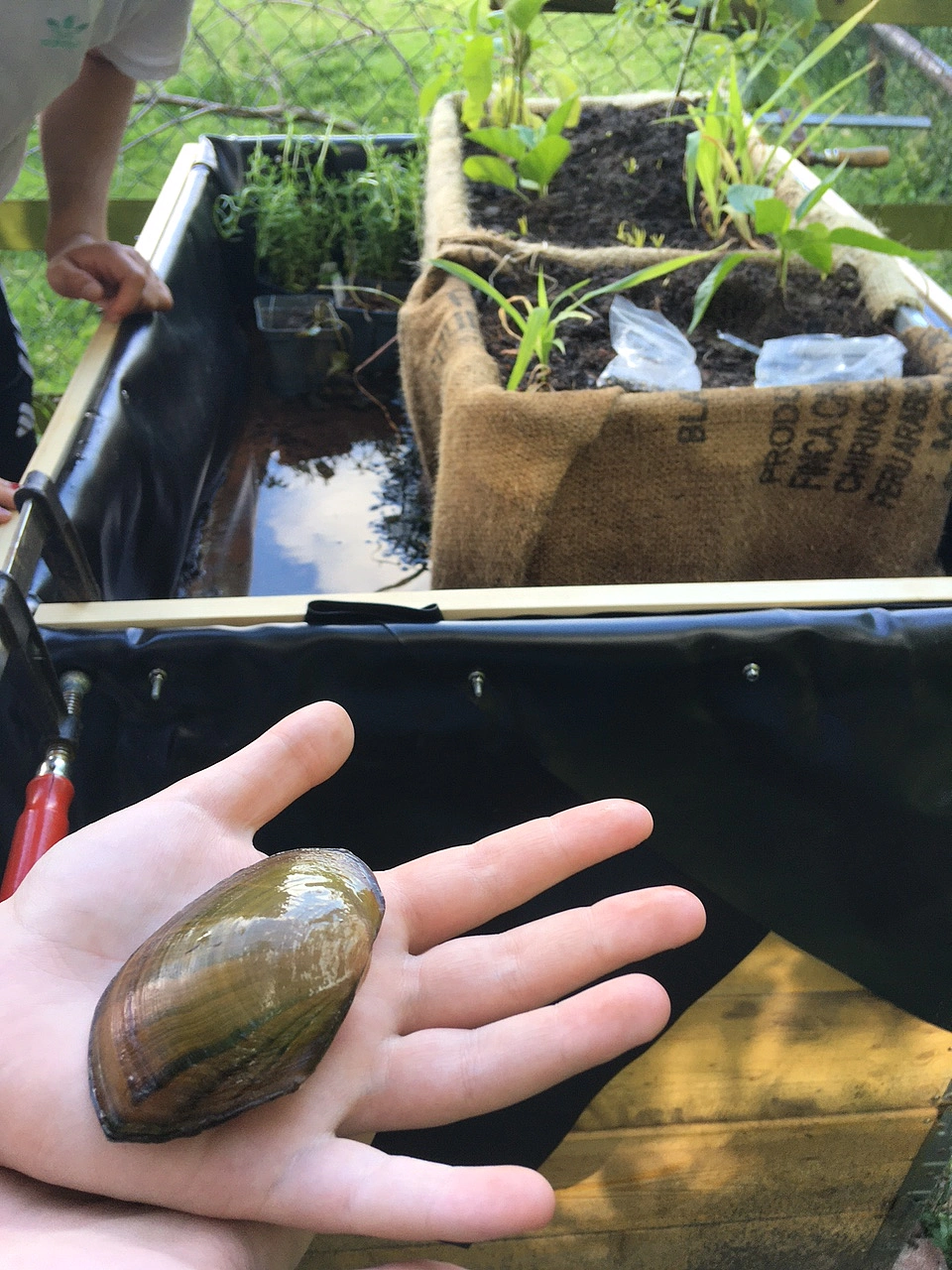 Mini-&Ouml;kosystem auf der Erlebnisfarm Ohlenhof