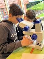 23_Forscher und Entdecker Tag_Botanika