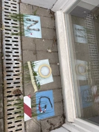 23_Forscher und Entdecker Tag_Cyano_NOG Vorlage